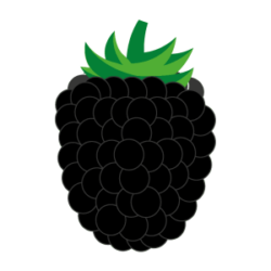 Brombeere Icon Circled