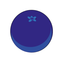 Heidelbeere Icon Circled