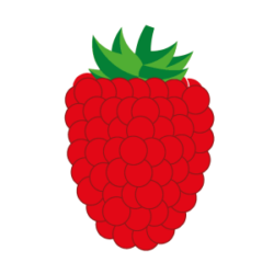 Himbeer Icon Circled